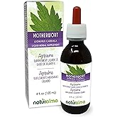 Naturalma Motherwort (Leonurus cardiaca) herb with Flowers Alcohol-Free Tincture - 4 fl oz Liquid Extract in Drops - Herbal Supplement - Vegan