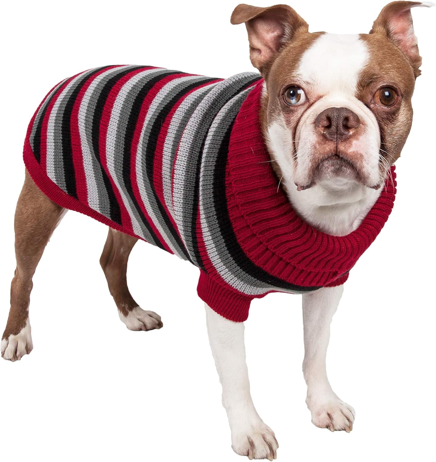 polo dog sweater