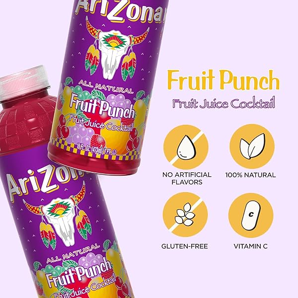 ARIZONA FRUIT PUNCH – FRUIT JUICE COCKTAIL – 16 FL OZ (PACK OF 12)