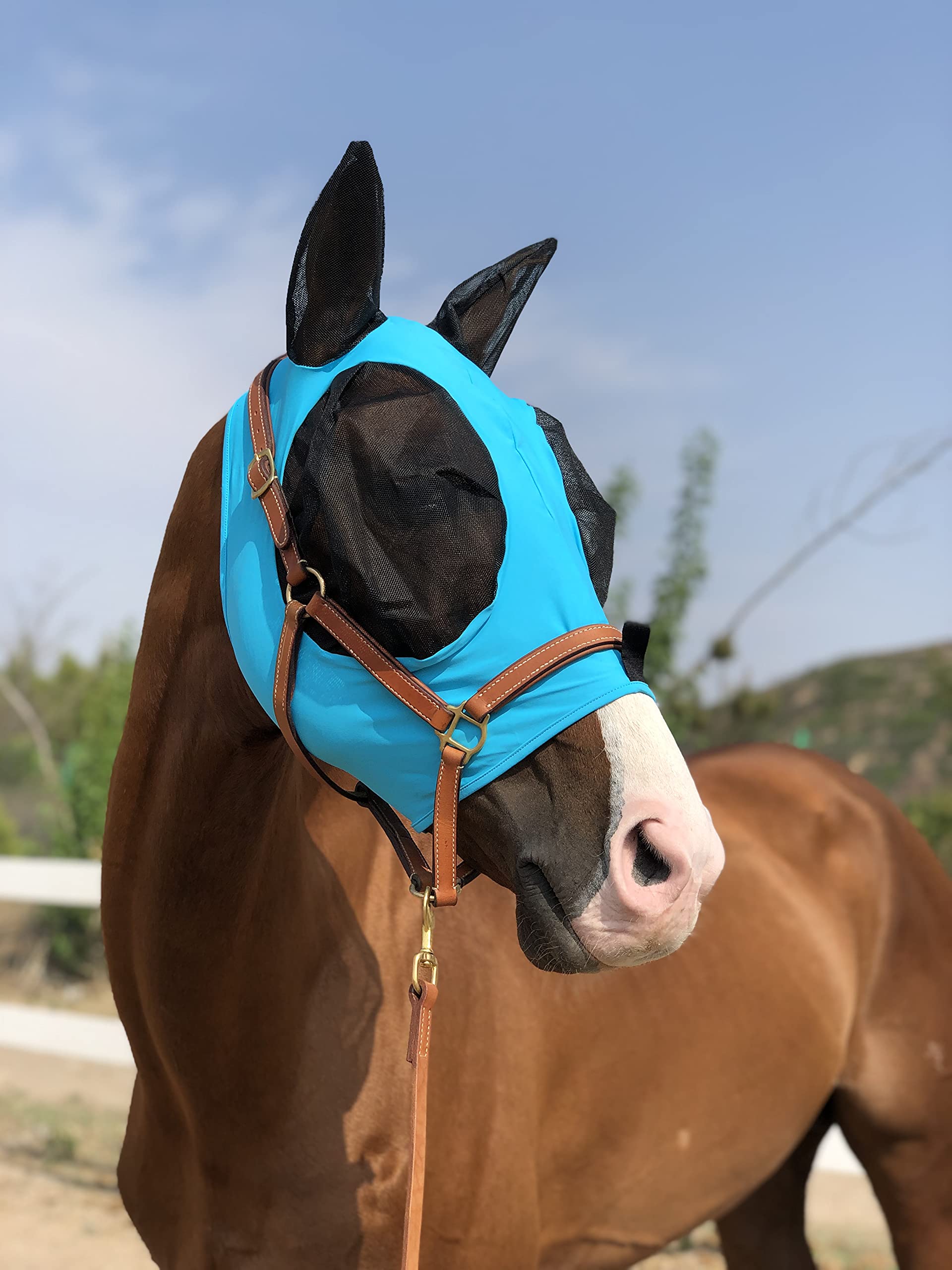 TGW RIDING Horse Fly Mask Super Comfort Horse Fly Mask Elasticity Fly Mask with Ears(L, Pacific Blue)