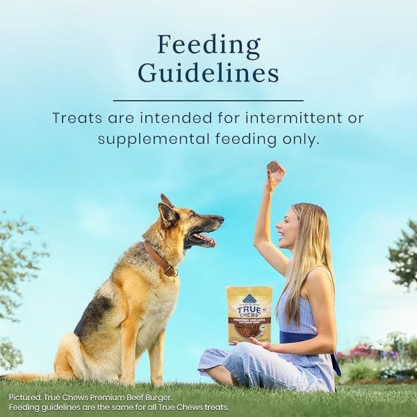 BLUE BUFFALO TRUE CHEWS PREMIUM JERKY CUTS DOG TREATS, MADE IN THE USA WITH NATURAL INGREDIENTS, CHICKEN, 12-OZ BAG