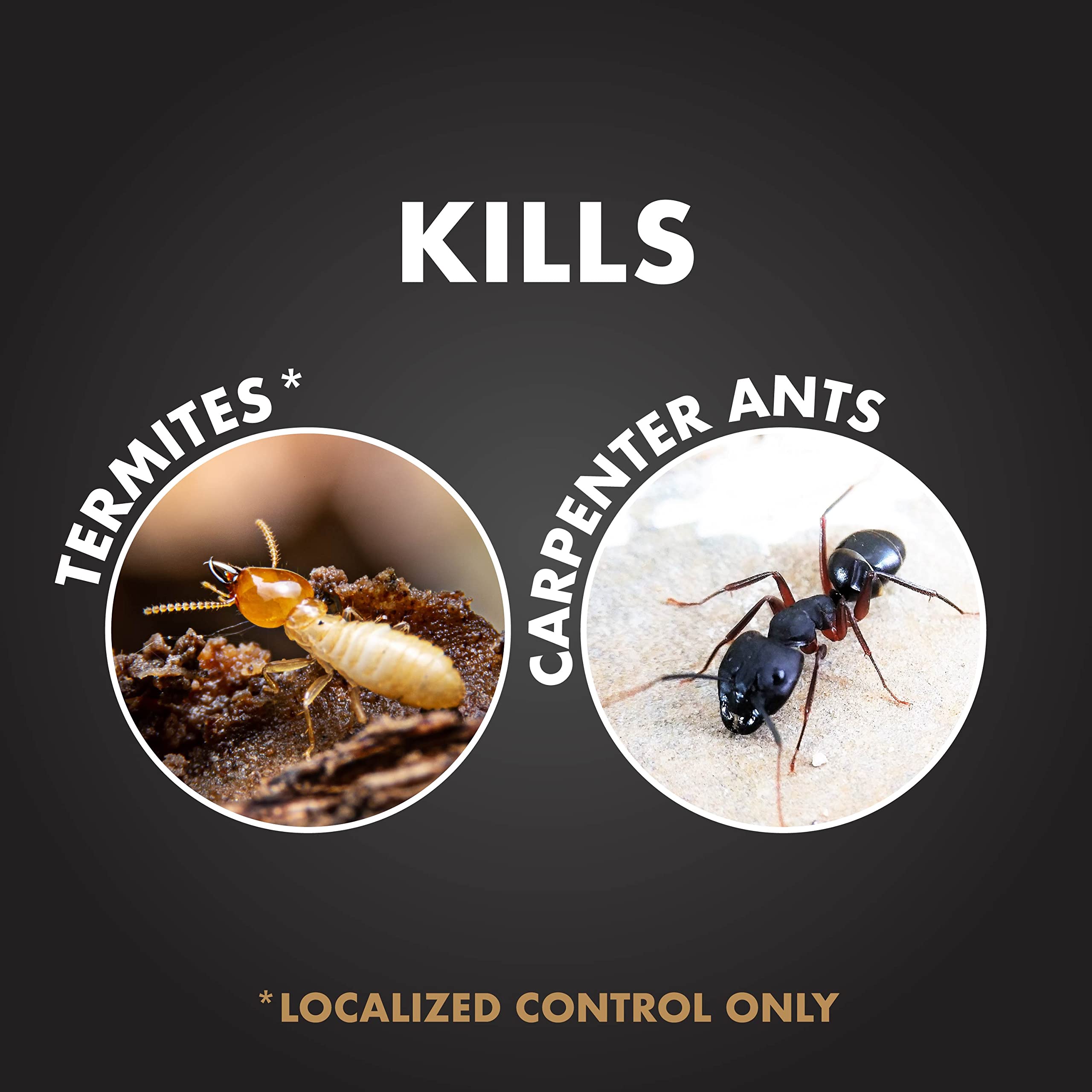 Mua Spectracide Terminate Termite Carpenter Ant Killer Concentrate mua-spectracide-terminate-termite-carpenter-ant-killer-concentrate