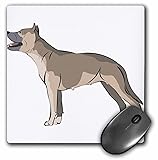 3dRose Blonde Designs Cute and Cuddly Canines