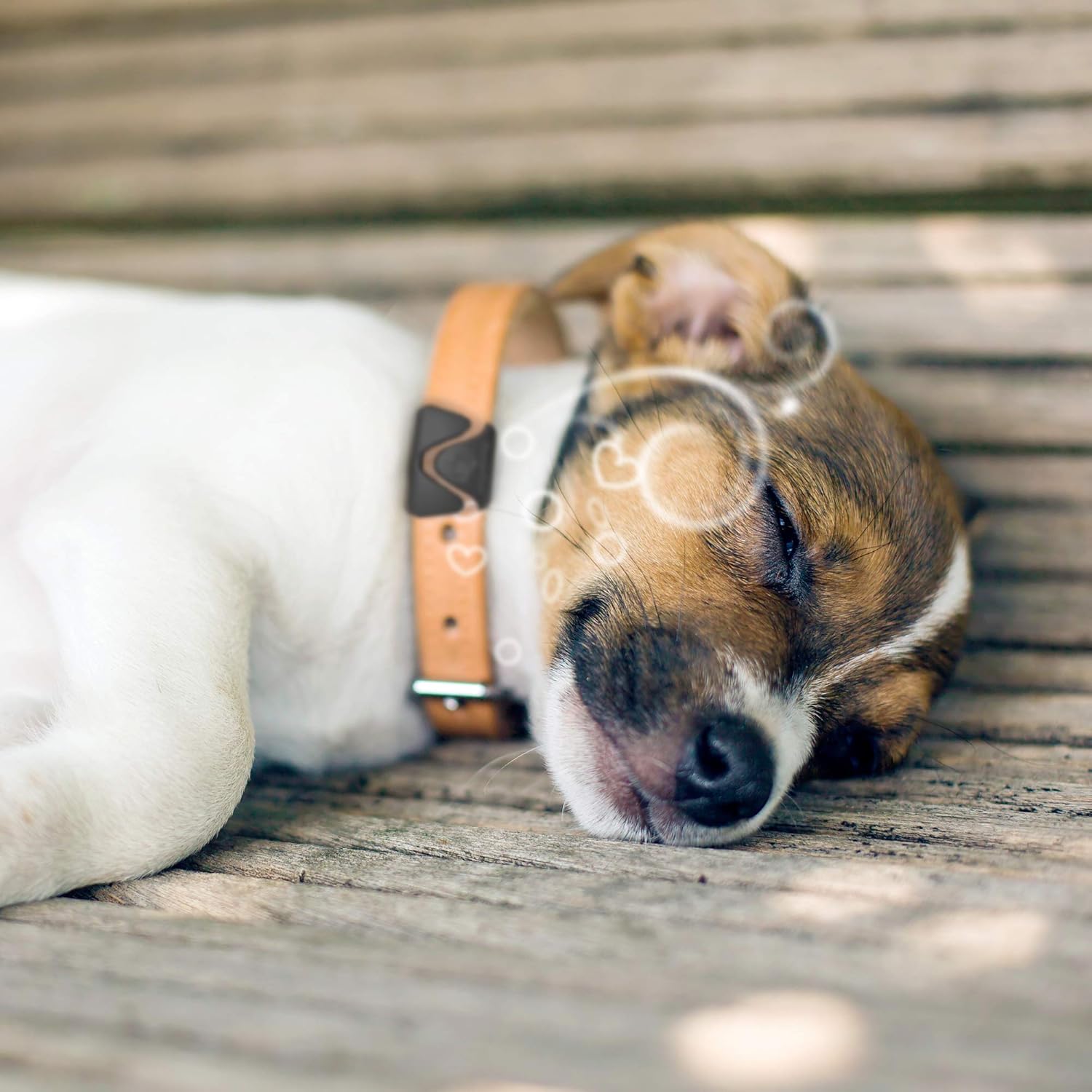 thunderease calming collar reviews