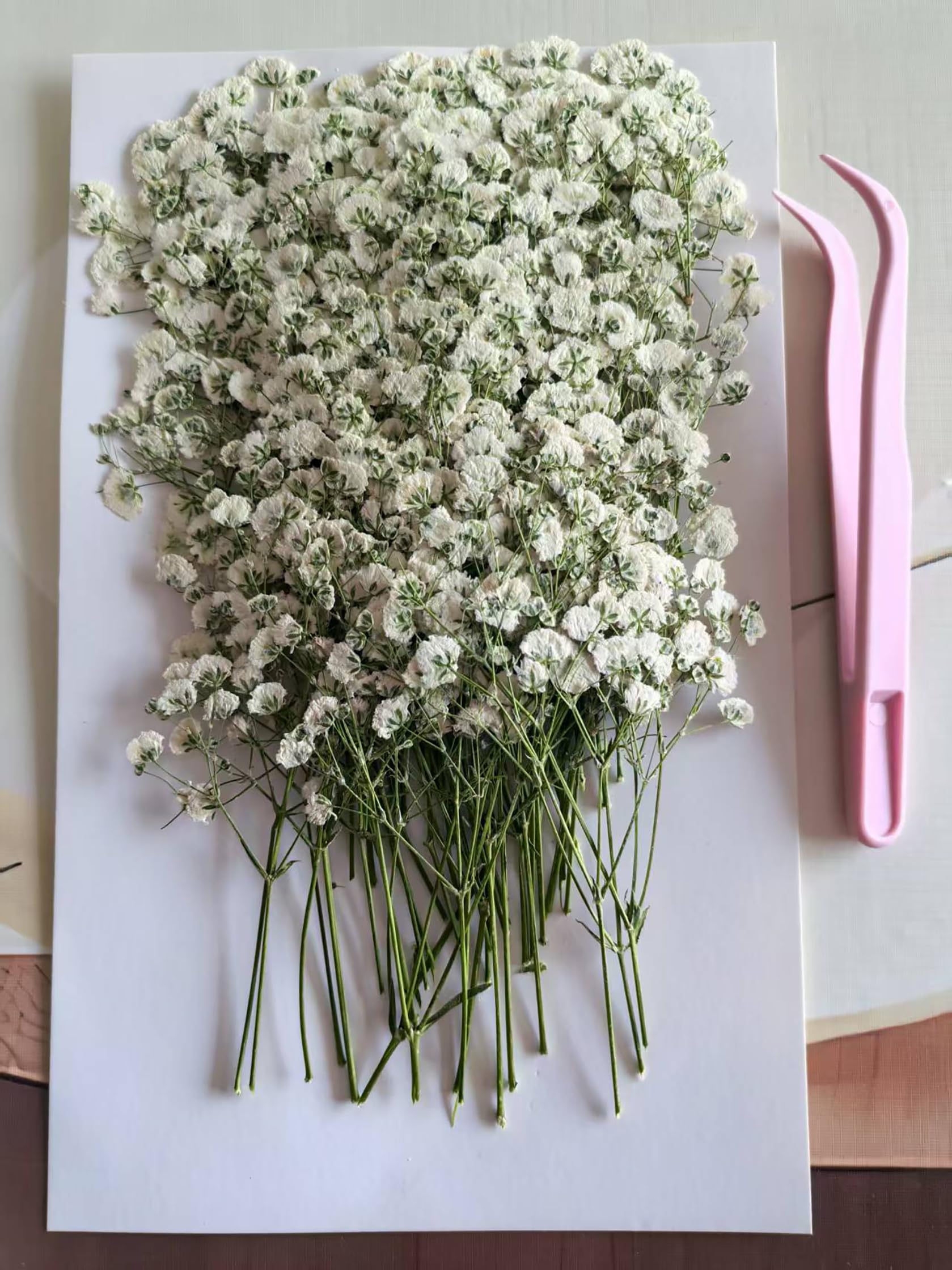 100PCS Dried Pressed Flowers, Natural Baby Breath Dried, Gypsophila Mini Breath Flowers, Real Natural Gypsophila for Vase, Crafts, Resin Art Mini Mixed Floral Set for DIY, Wedding Card