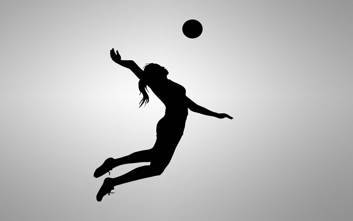 Amazon Com Volleyball Players Sport Net Ball Bedroom Kids Nursery