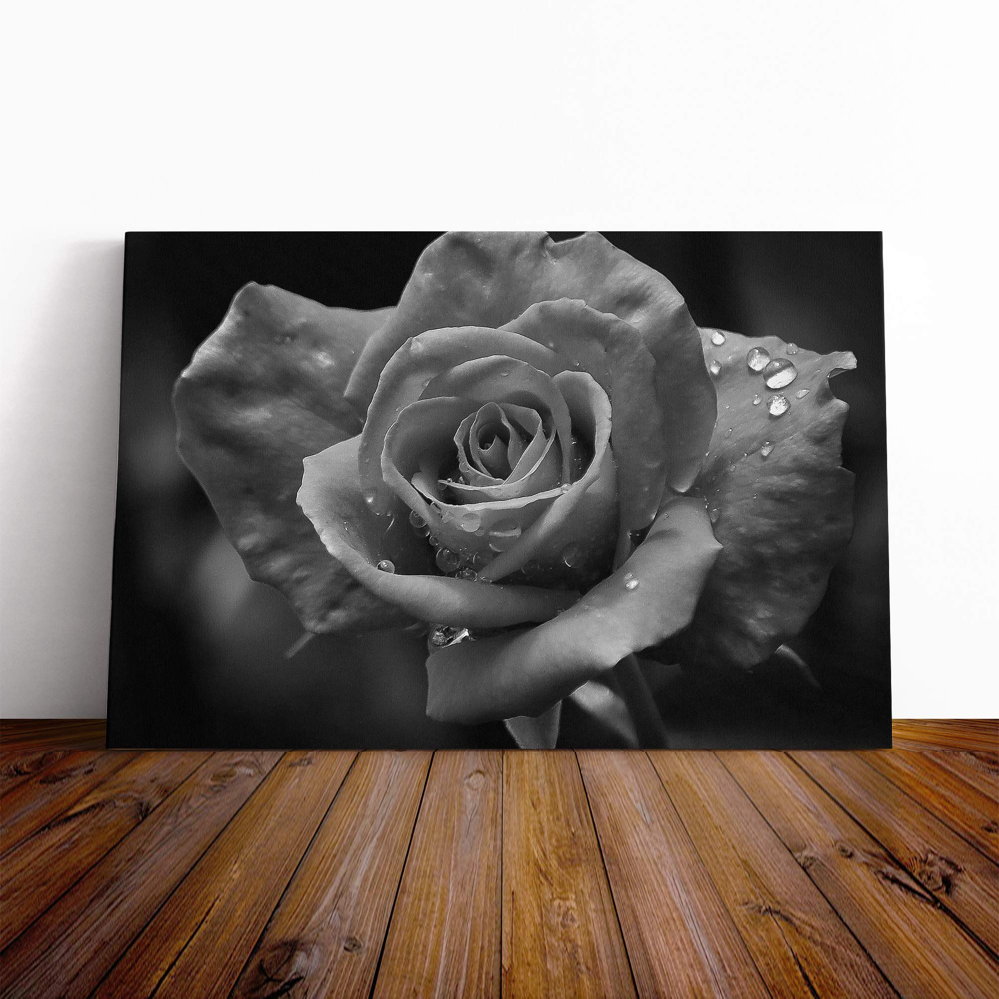 White Rose Flower (1) Canvas Print | Gallery Wrapped 30mm Frame Wall Art | 20x14 inches | Ready to Hang | Modern Floral Picture | Living Room Bedroom Lounge Office