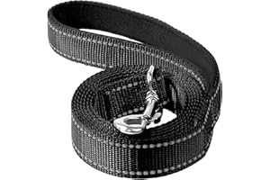 Erbine 6FT Reflective Nylon Dog Leash with Soft Padded Handle for Walking, Running and Training, Supports Small Medium and Large Dogs (Black, 3/4Inch Wide)