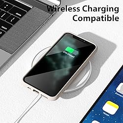 oakxco for iPhone 11 Pro Max Phone Case Liquid
