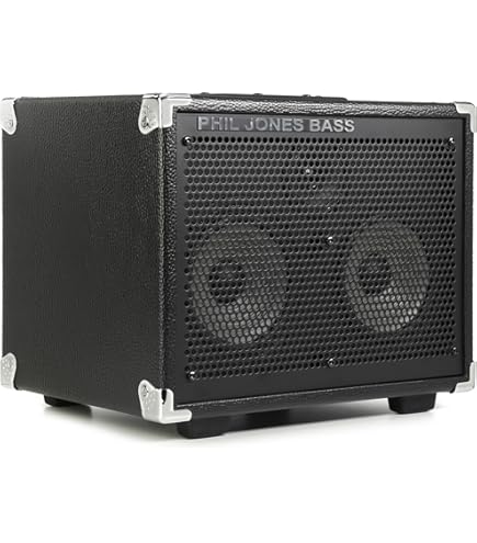 Amazon.com: Phil Jones Compact 2 Bass Cabinet Black : Musical