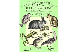 Treasury of Animal Illustrations: From Eighteenth-Century Sources (Dover Pictorial Archive)