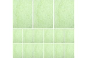 DEARMAMY 10 Boxes Oil Absorbing Facial Blotting Papers for Oily Skin Portable Double-Sided Face Random Color