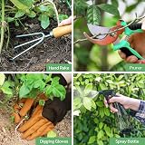 Grenebo 9-Piece Stainless Steel Garden Tools Set with Tote Gray view 5