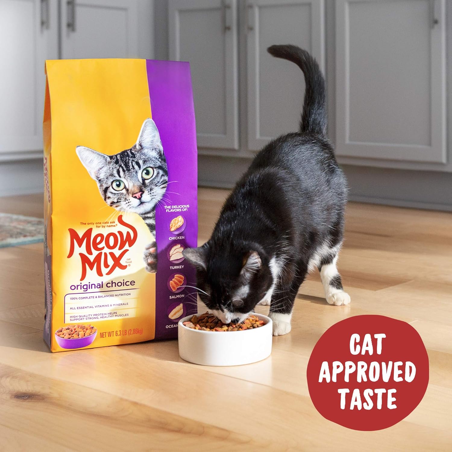Meow Mix Original Choice Dry Cat Food, 22 Pounds : Pet Supplies