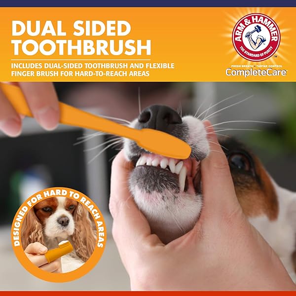 ARM & HAMMER COMPLETE CARE DOG DENTAL KIT WITH ENZYMATIC DOG TOOTHPASTE, TOOTHBRUSH AND FINGER BRUSH, BAKING SODA AND CALCIUM FORMULA FOR PLAQUE TARTAR CONTROL, CHICKEN FLAVOR, 2.5 OZ