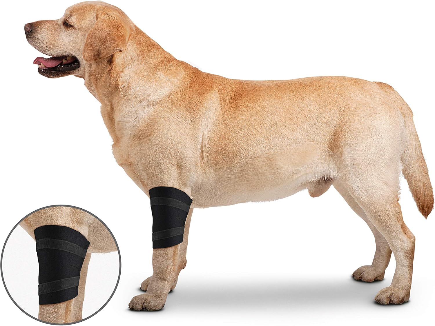 How To Wrap Dog Toys at Al Mitchell blog