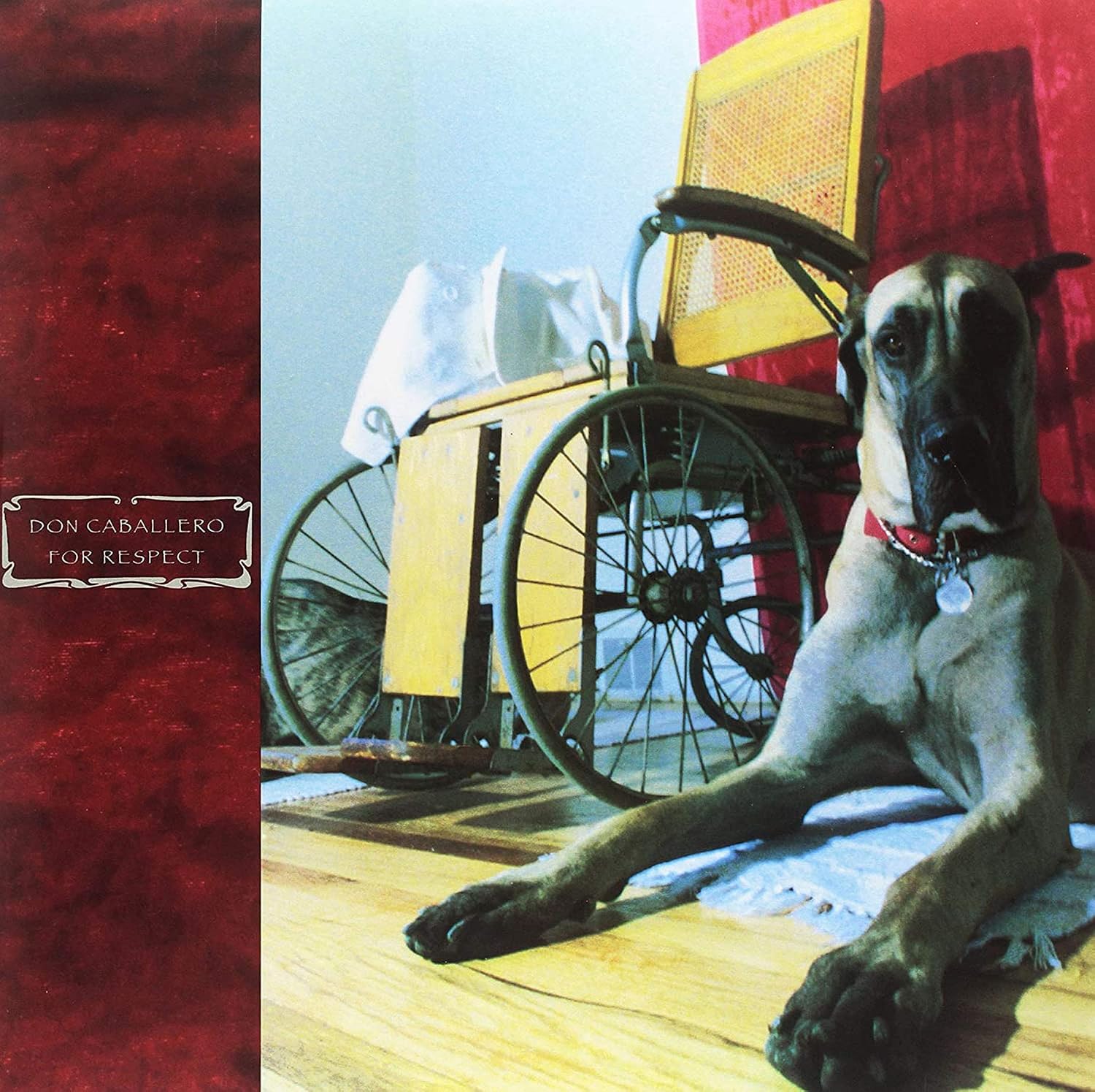 discography⑤ - 朱莉TeenageRiot