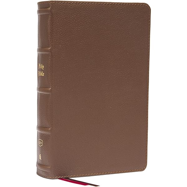 NKJV, Single-Column Reference Bible, Verse-by-verse, Brown Genuine