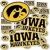 Desert Cactus University of Iowa Sticker Iowa Hawkeyes Vinyl Decal Laptop Water Bottle Car Scrapbook Sheet (Type 1-1)