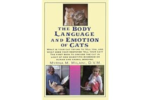 The Body Language and Emotion of Cats