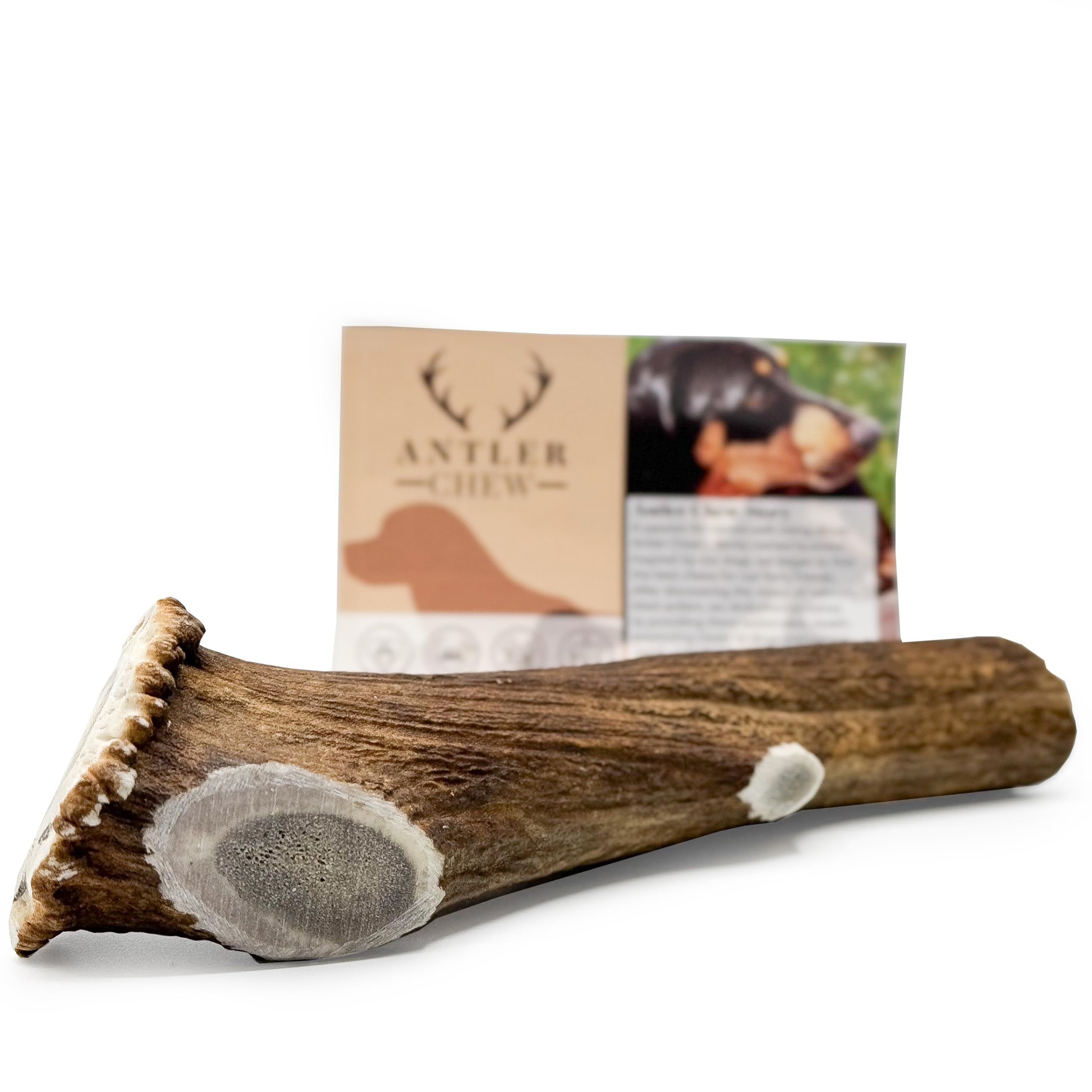 Antler Chew – Super Extra Large Antler Dog Chew (350–450g, From 17cm) | Naturally Shed & Sanded | Long-Lasting, Odourless Chew for Moderate Chewers | Supports Dental Health