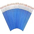 60 Pcs Round Paint Brushes,Small Brush Bulk for Detail Painting