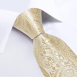 DiBanGu Silk Paisley Ties for Men Woven Necktie and