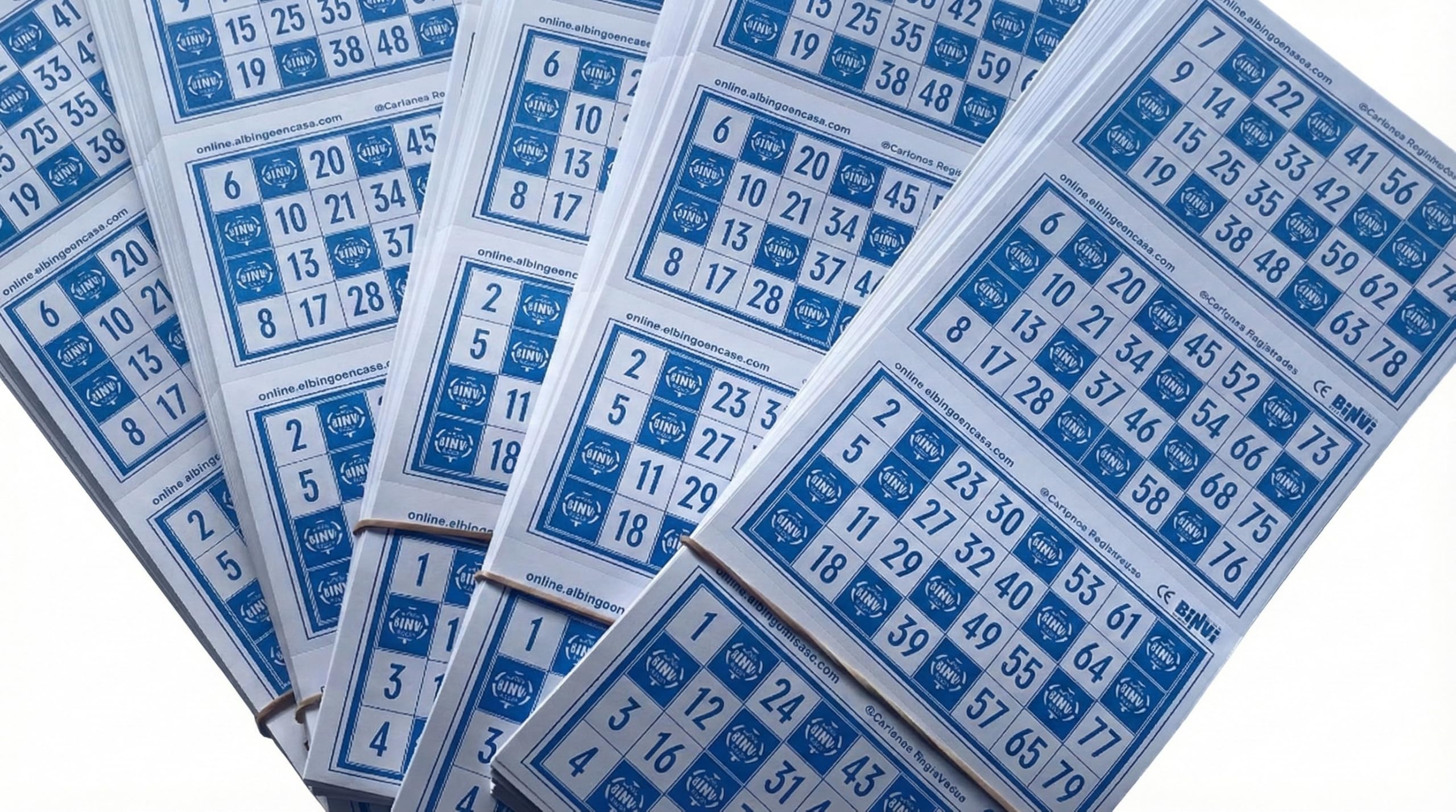 1600 Bingo BINVI Cards