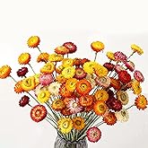 HeCege 24 Pcs Natural Dried Straw Flowers Daisy, Orange Dried Flowers Arrangements for Vase, Home Office Wedding Table Centerpiece Farmhouse DIY Decor, Yellow