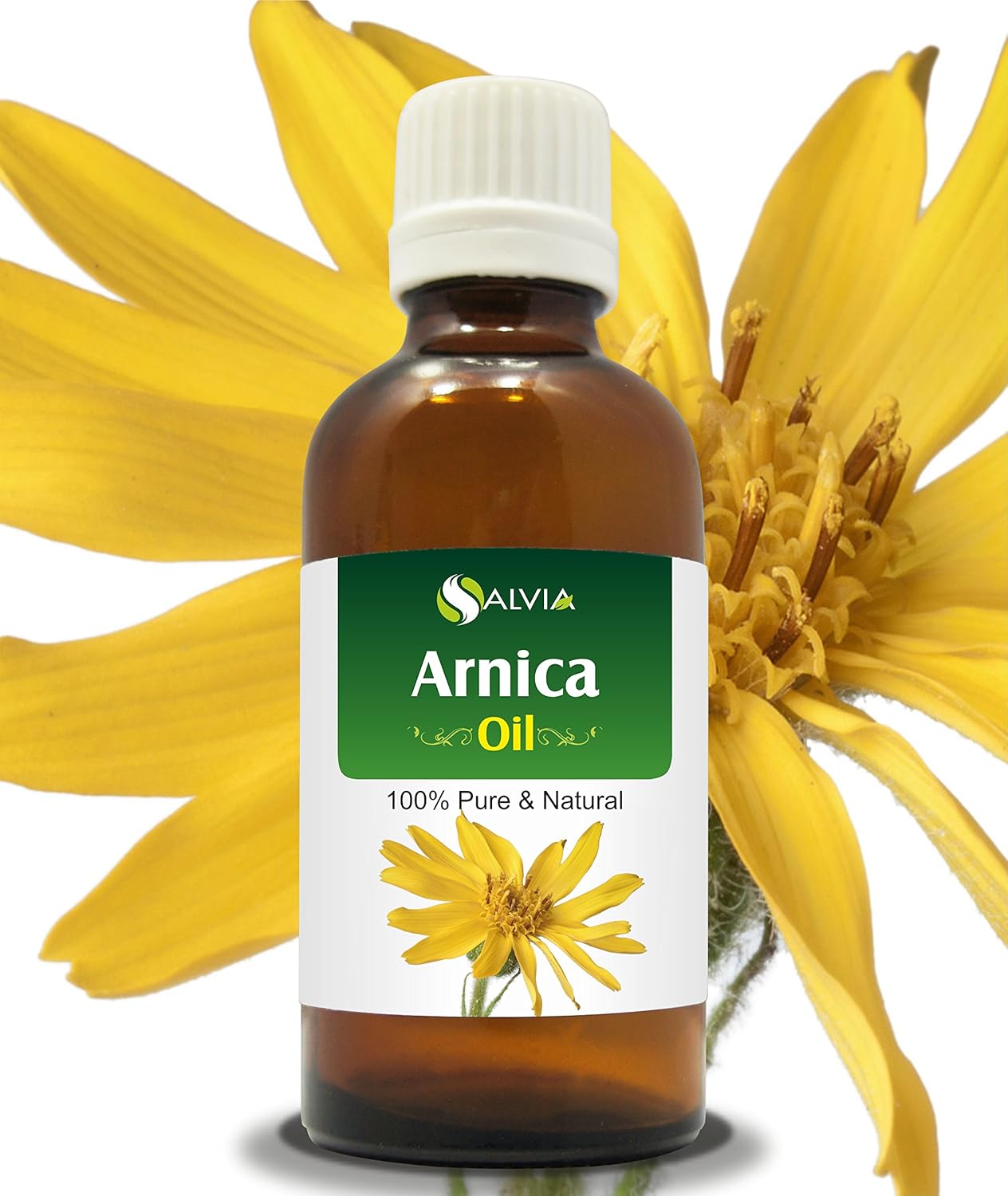 Arnica Essential Oil (Arnica Montana) 100 Pure & Natural Undiluted