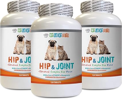 amazon extend for dogs