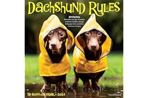 Willow Creek Press Dachshund Rules Monthly 2024 Wall Calendar (12" x 12")