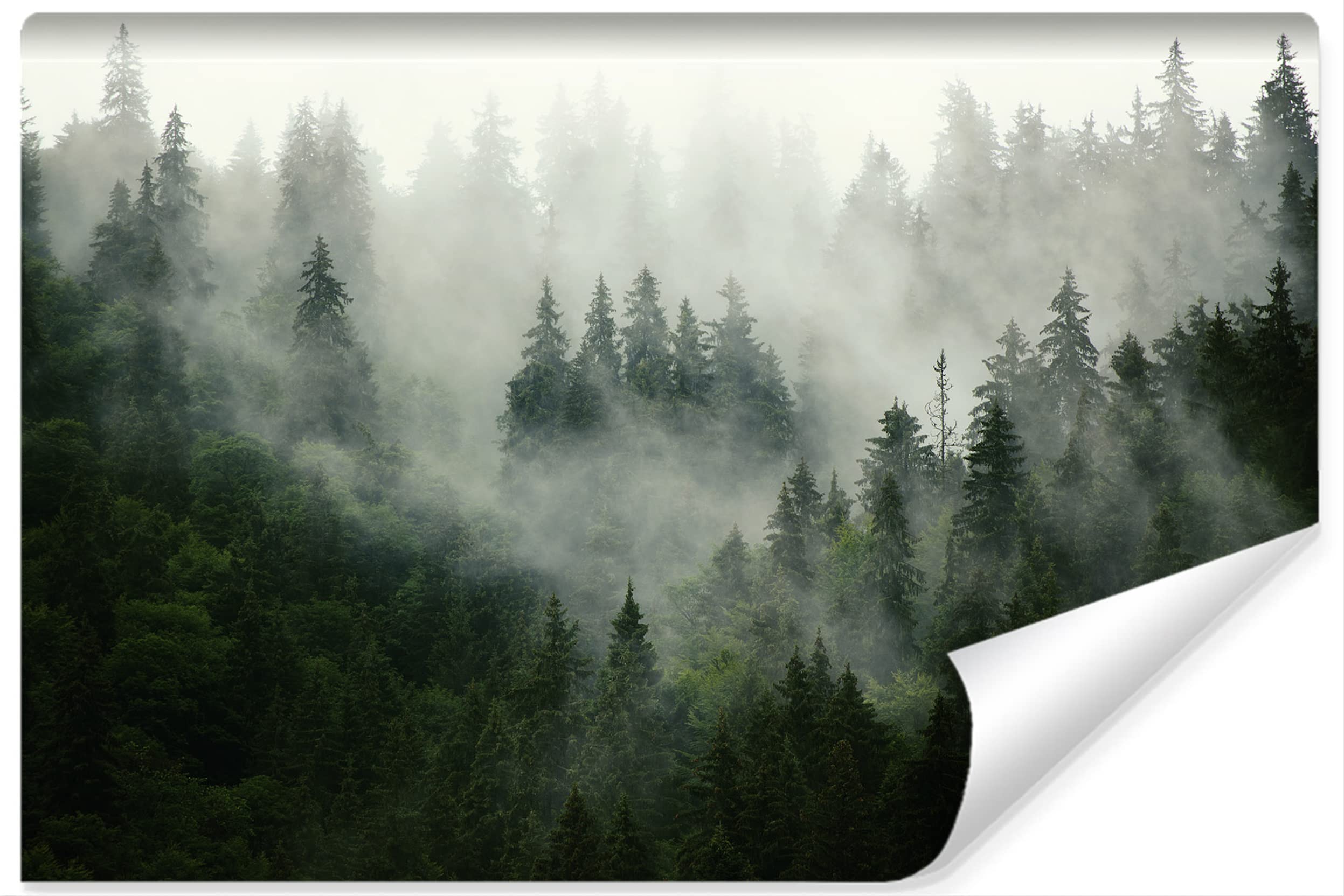 Muralo Photo Wallpaper Forest in Mist Wall Wallpaper Trees Green Nature Living Room Bedroom Dining Room Modern Wall Pictures XXL Landscape Panorama Wall Decoration (Non-Woven Fabric, Width 360 cm x