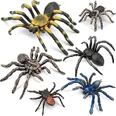 THINKBAY 6PCS Fake Spiders Figurines, Plastic Spiders Prank Toy for Kids | Realistic Animal Toys, Spider Prank, Safe Materials, Educational Toy, Birthday Cake Decoration, Halloween Holiday Party Gifts