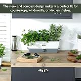 Cole & Mason Self-Watering Herb Keeper Plastic White Grey 3 Pots 85mm view 7
