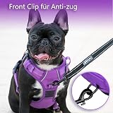 PoyPet No Pull Dog Harness Reflective Easy On Front Back D Ring L Purple view 3