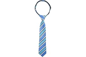 Spring Notion Boys' Pre-tied Woven Zipper Tie