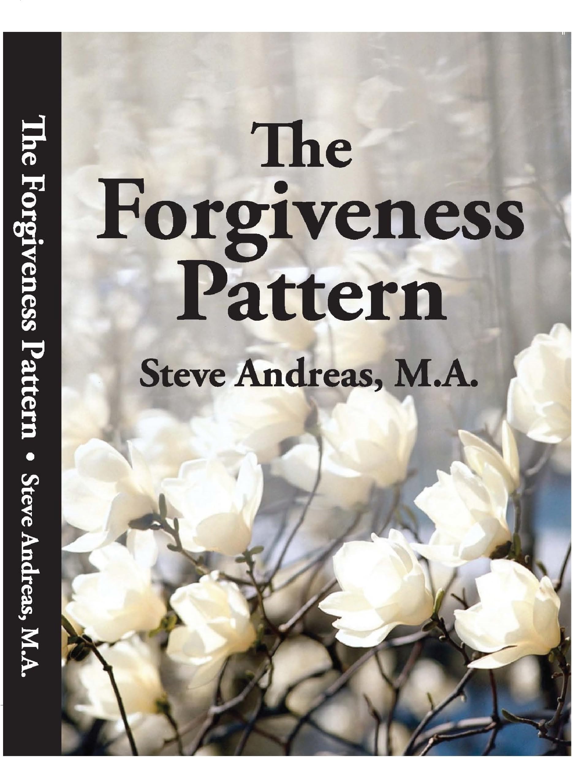 NLP: The Forgiveness Pattern By Steve Andreas