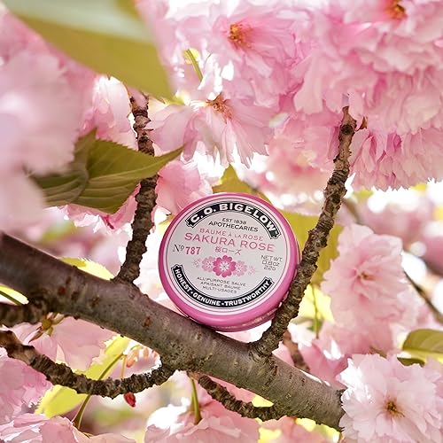 C.O. Bigelow Sakura Rose Salve Tins, Pack of 3 Lip Balm Tins, All Purpose  Salve for Lips, Cuticles, Hands & Dry Skin, Lip Balm Set, 0.8 oz in Dubai -  UAE |