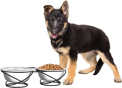 Amazon Com Petmaker Stainless Steel Raised Food Water Bowls