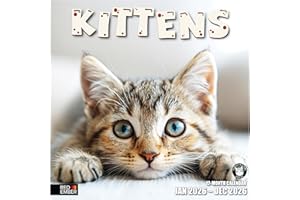 RED EMBER Kittens 2026 Wall Calendar 12 Month | 12" x 24" Open | Thick & Sturdy Paper | Giftable | Calendar 2026