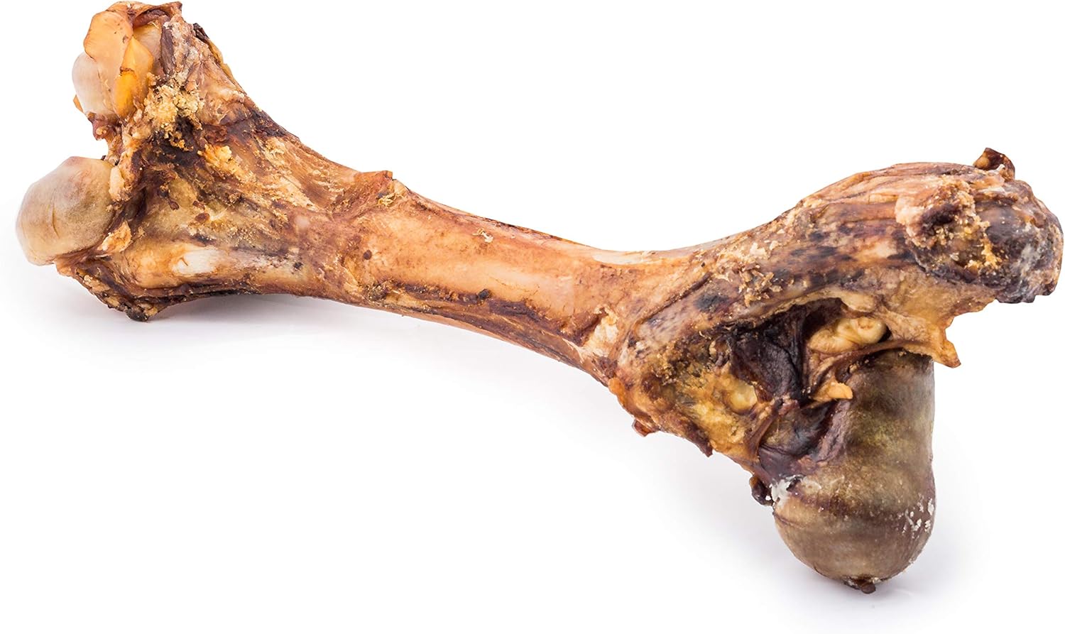 dino bones for dogs