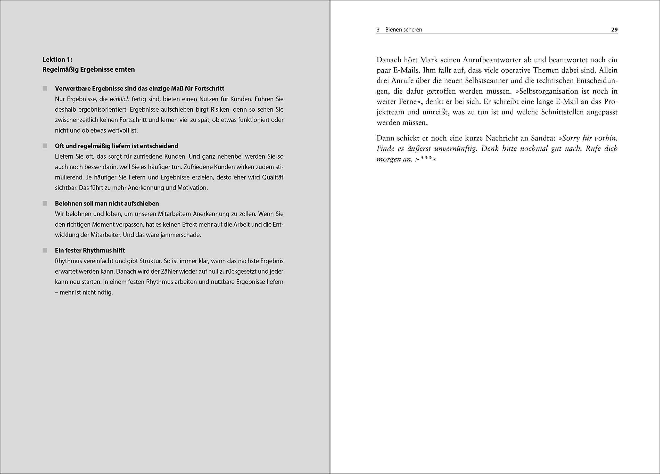 Der Bienenhirte Uber Das Fuhren Von Selbstorganisierten Teams