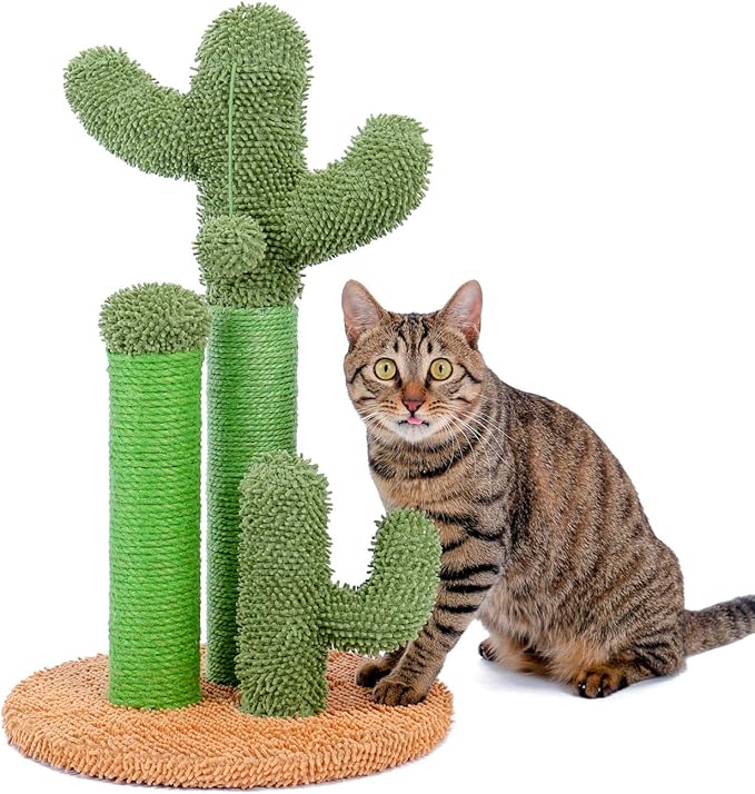PAWZ Road Cat Scratching Post Cactus Cat Scratcher Featuring with 3