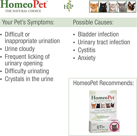 otc uti meds for cats