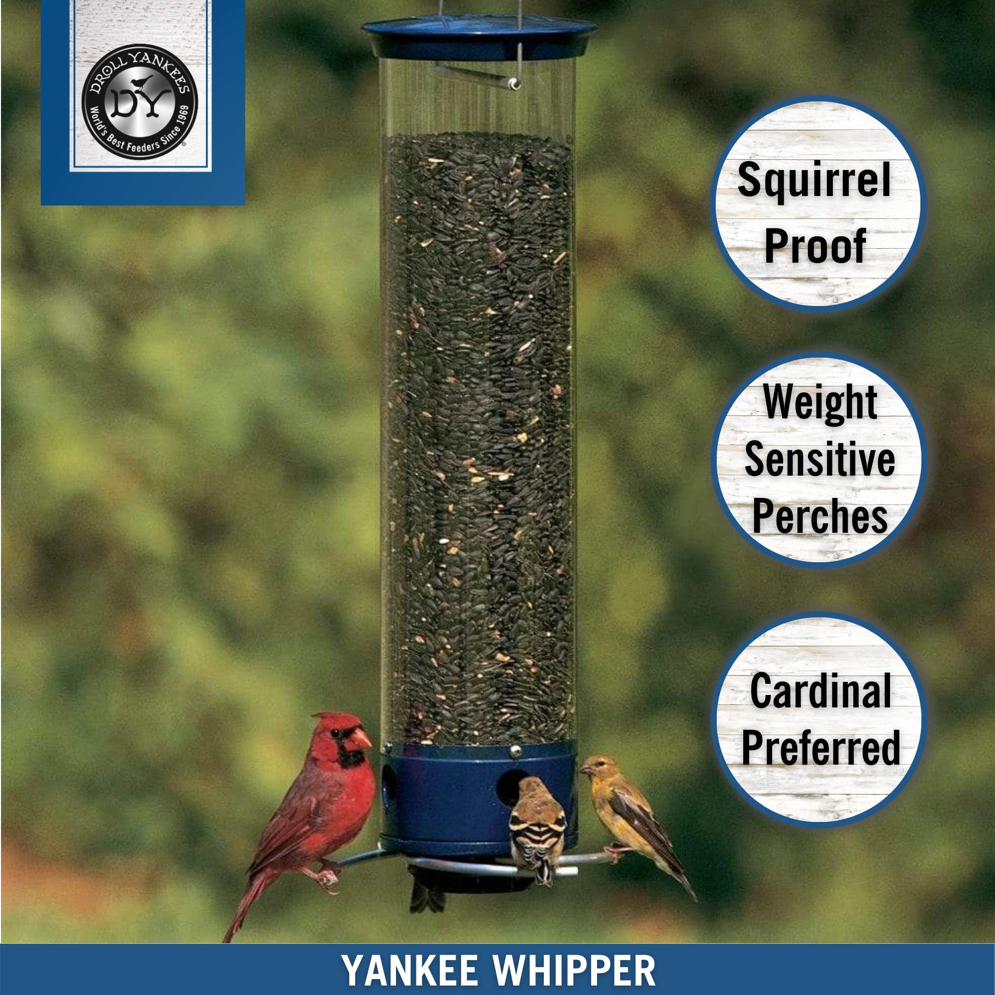 Mua Droll Yankees Squirrel Proof Bird Feeders for Outdoors - Whipper