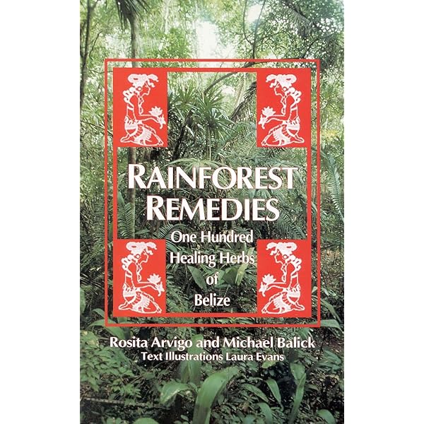 Mayan Traditional Medicine