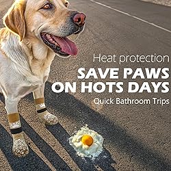 EXPAWLORER Anti Slip Dog Socks to Prevent Licking