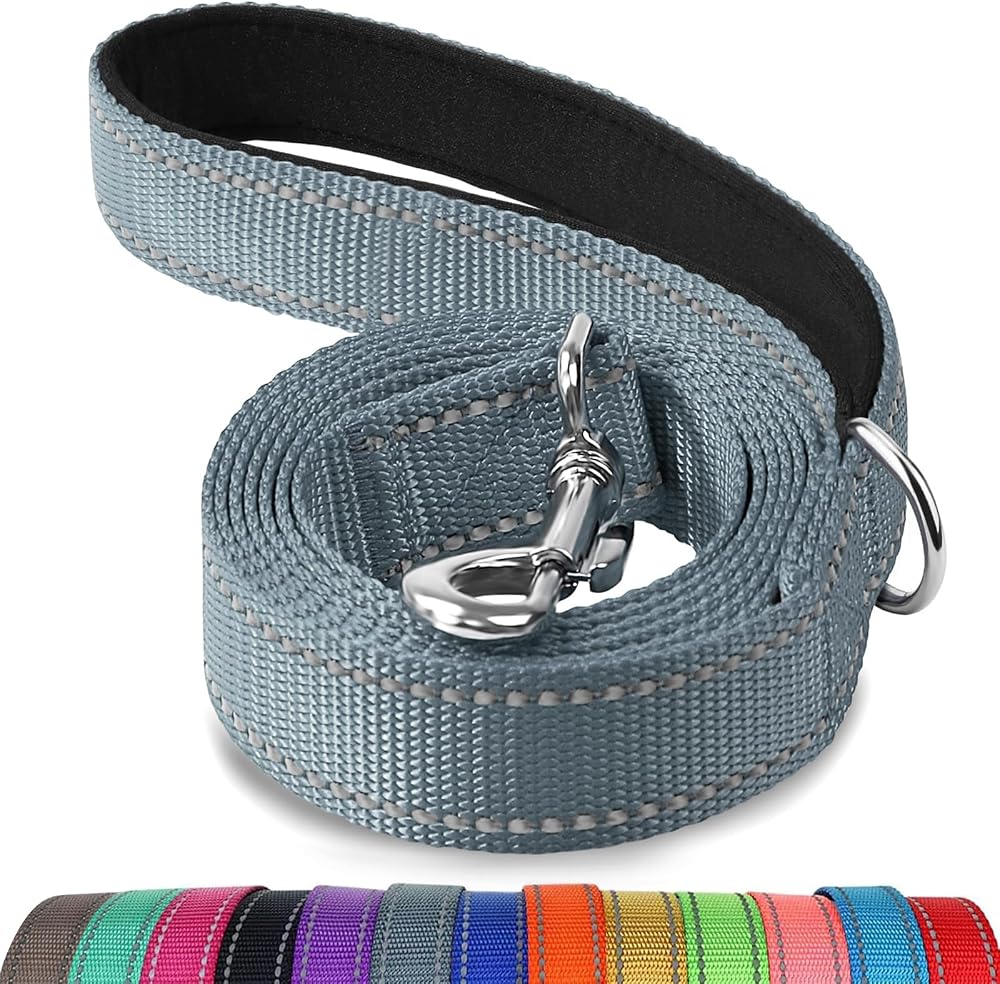 Joytale Padded Handle Dog Lead Double-Sided Reflective Nylon 1.8 m 2 cm Grey