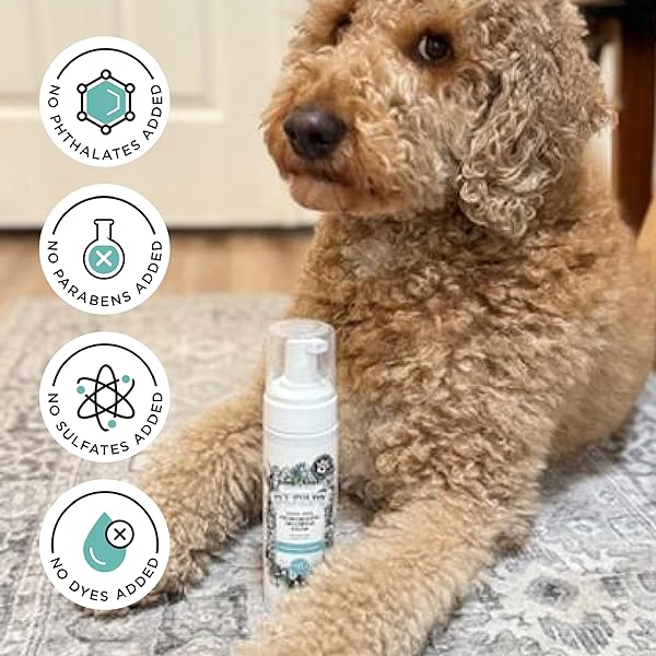 POO-POURRI RINSE-FREE DEODORIZING DRY SHAMPOO FOR DOGS & CATS – MOISTURIZING SKIN & COAT SOOTHING FORMULA – PLANT BASED INGREDIENTS – PINEAPPLE, JASMINE & PEAR – NO RINSE FOAM SHAMPOO FOR PET ODOR